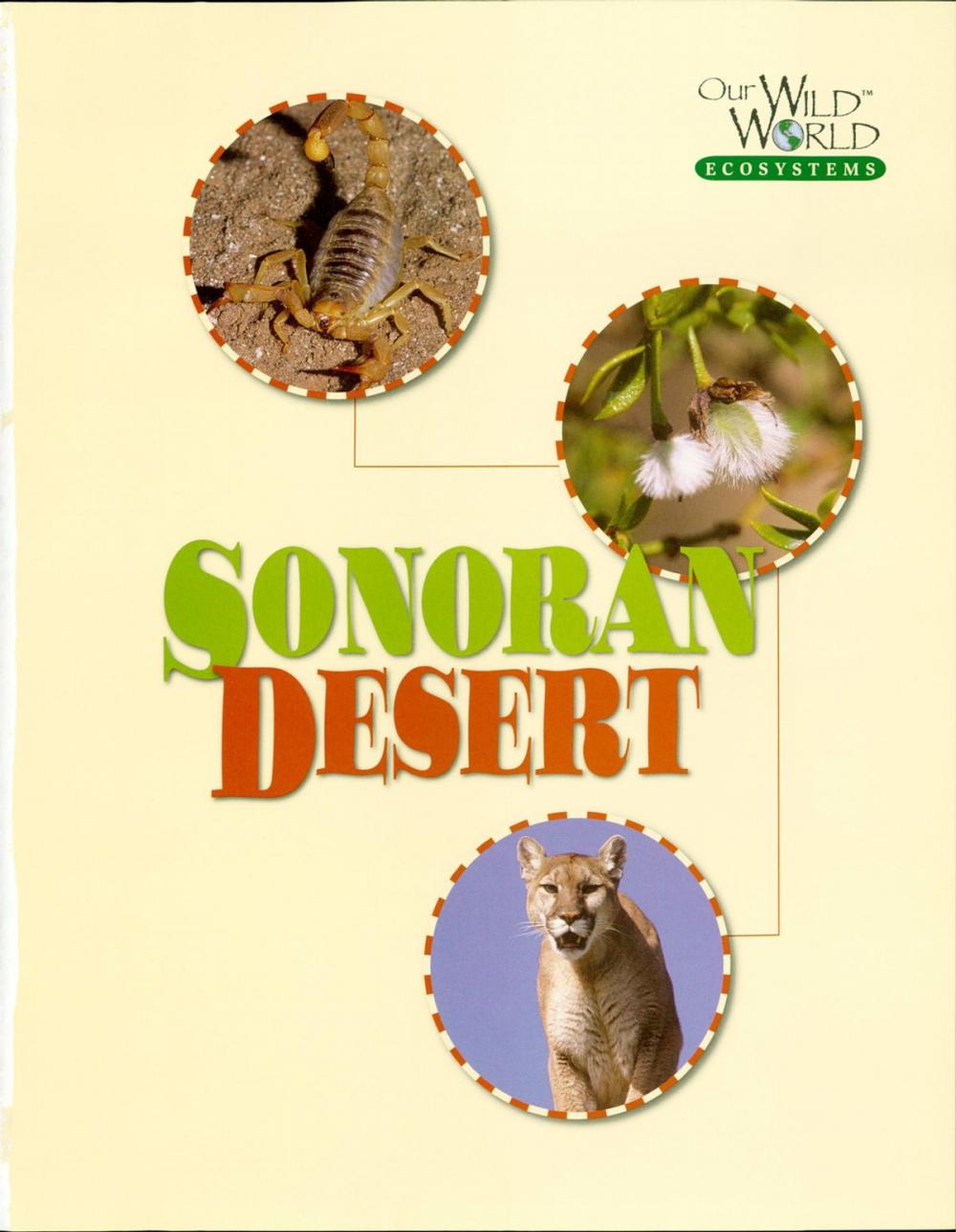 Big bigCover of The Sonoran Desert