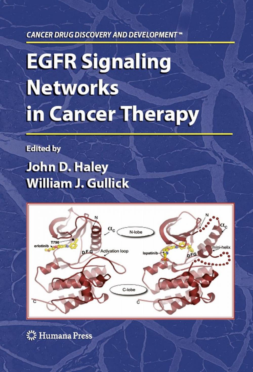 Big bigCover of EGFR Signaling Networks in Cancer Therapy