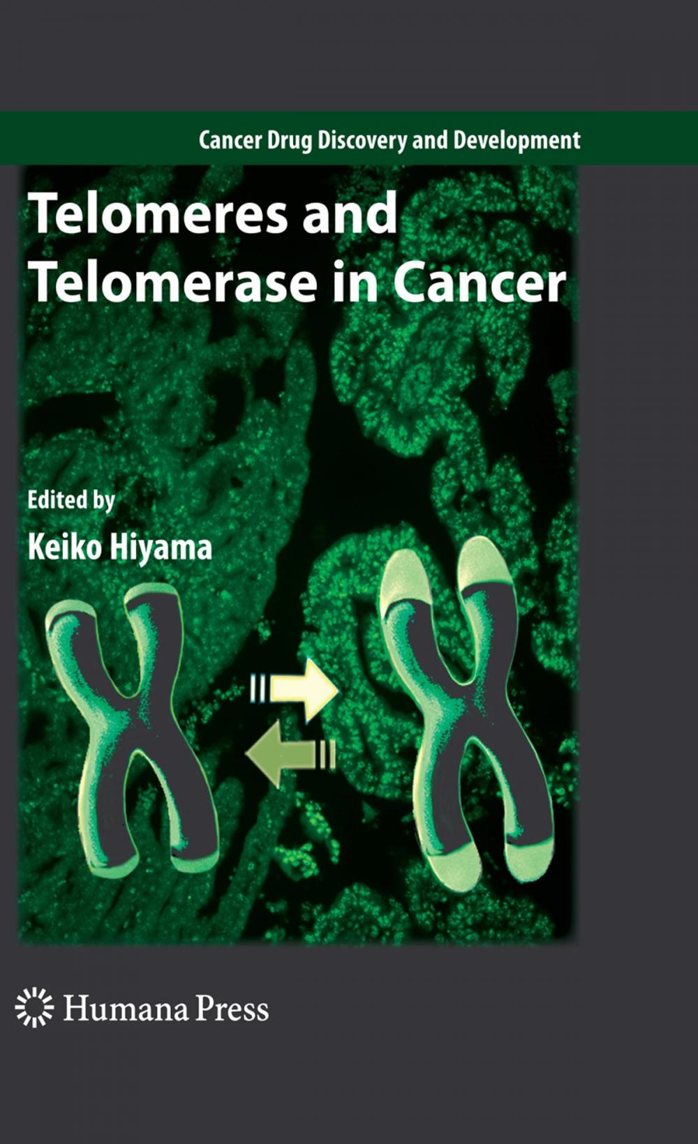 Big bigCover of Telomeres and Telomerase in Cancer