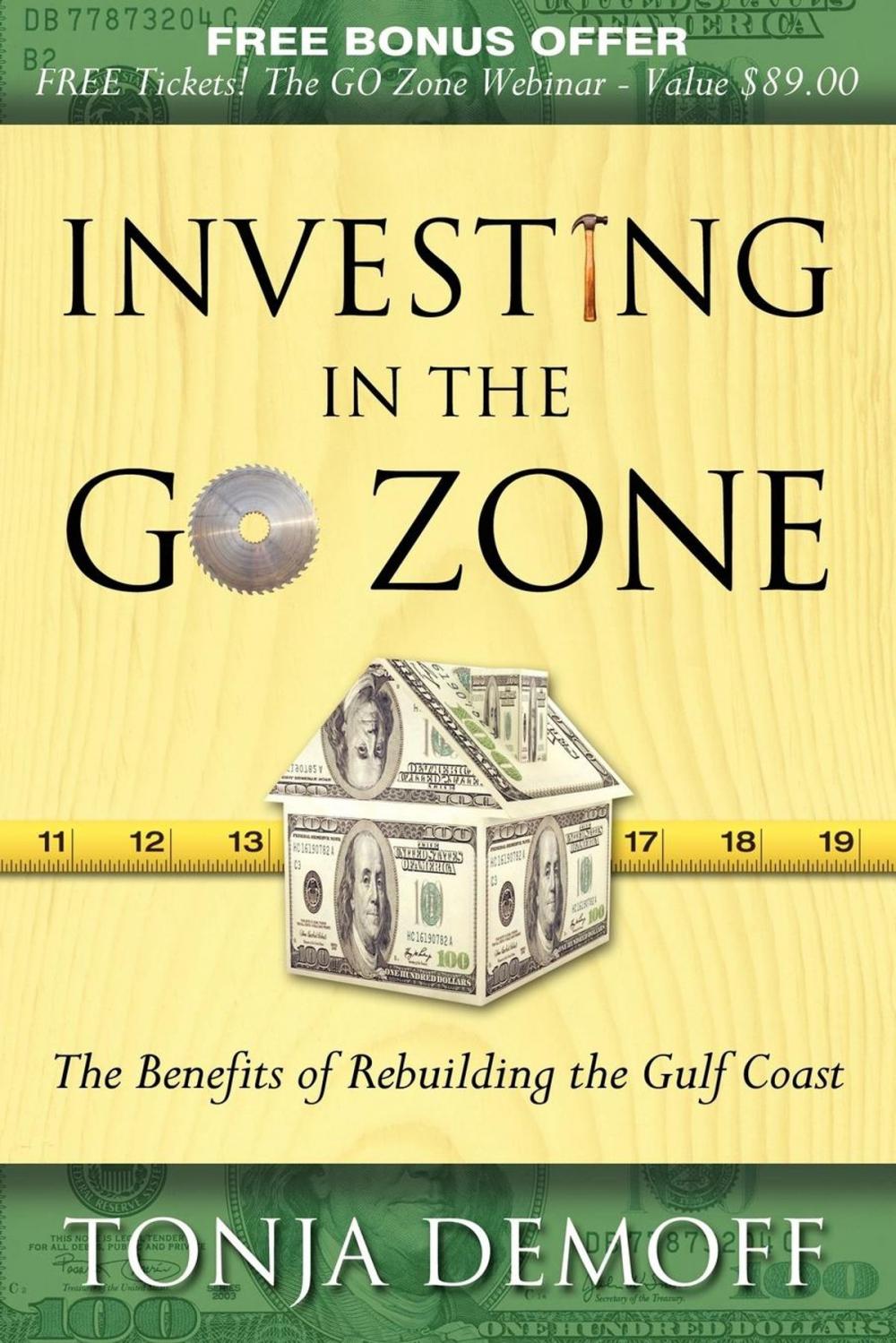 Big bigCover of Investing in the Go Zone