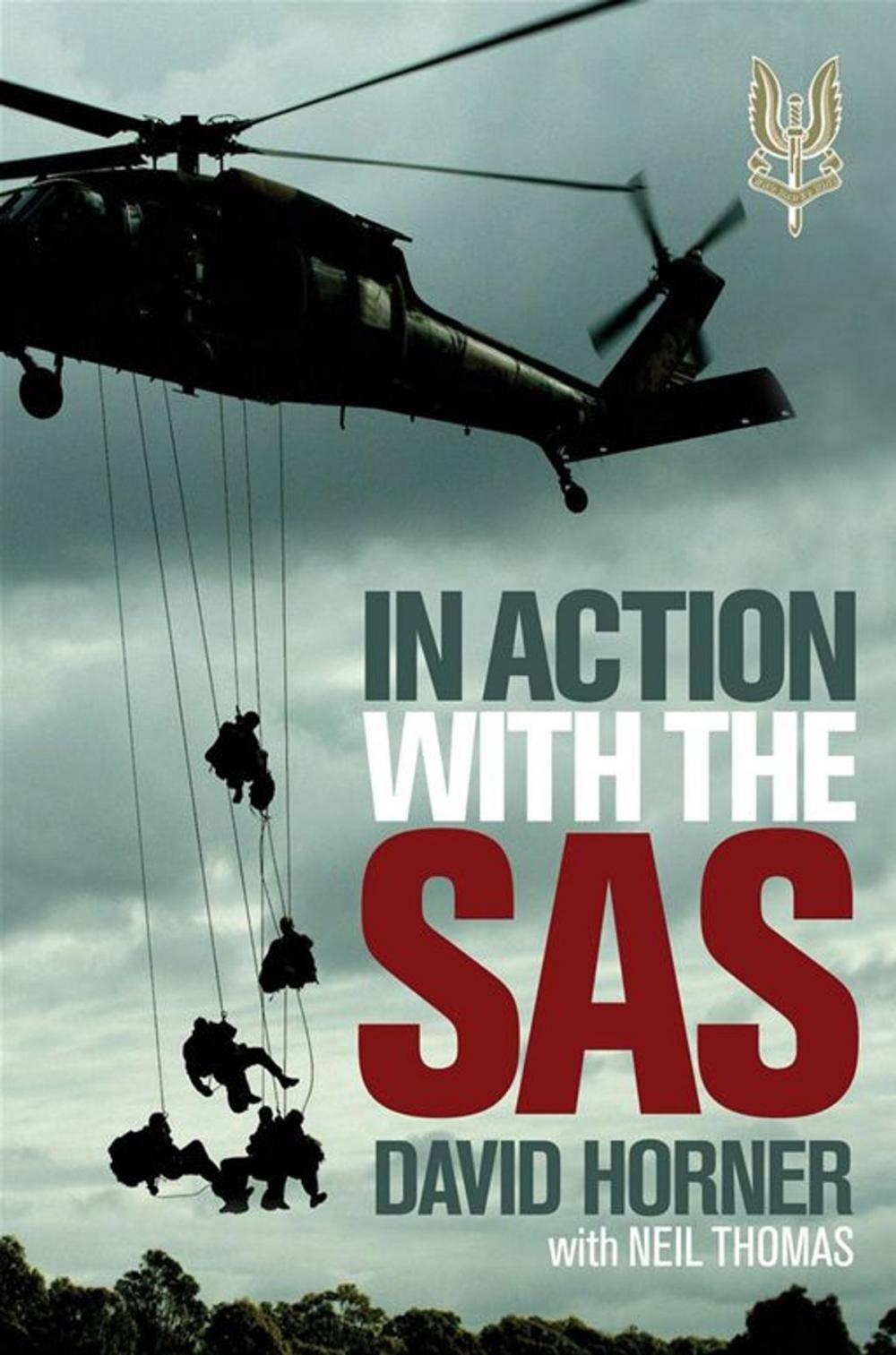 Big bigCover of In Action with the SAS