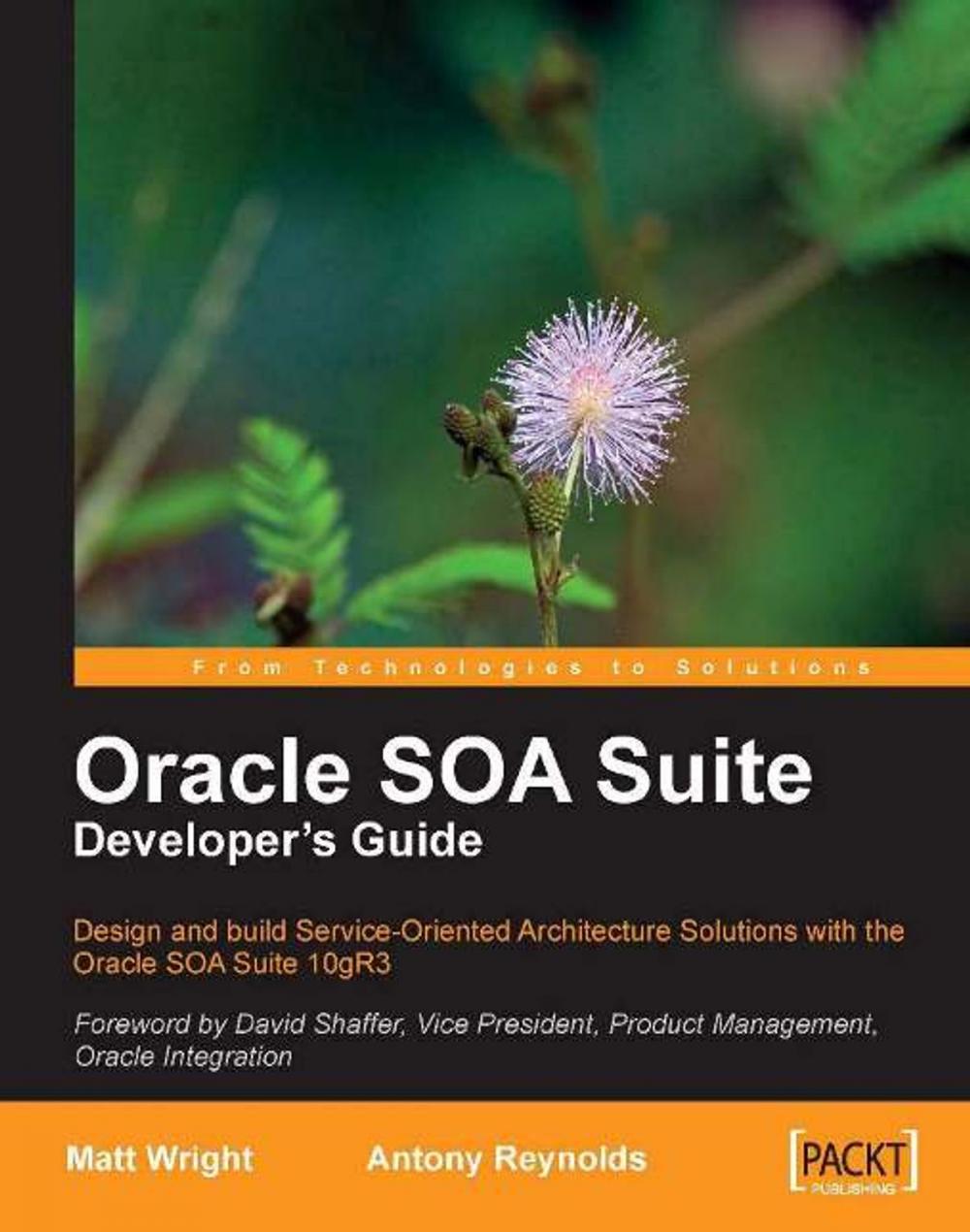 Big bigCover of Oracle SOA Suite Developer's Guide