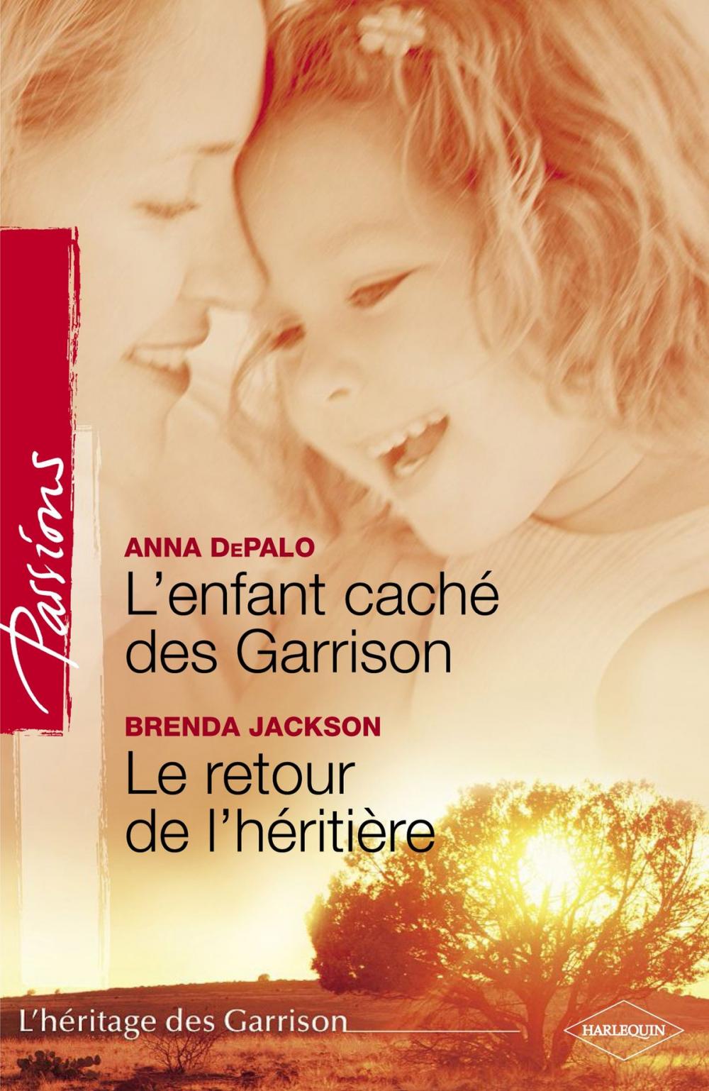 Big bigCover of L'enfant caché des Garrison - Le retour de l'héritière (Harlequin Passions)