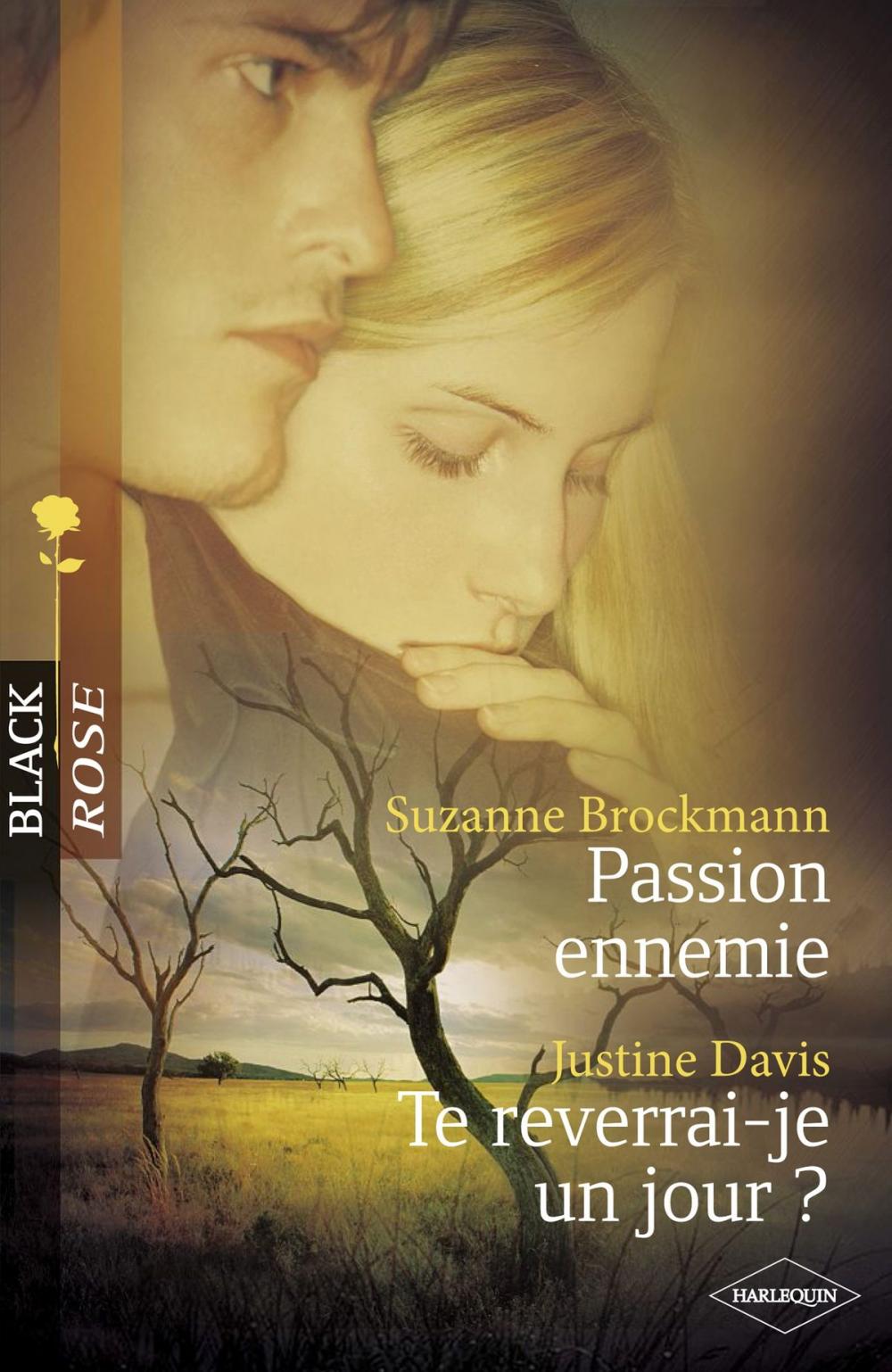 Big bigCover of Passion ennemie - Te reverrai-je un jour ? (Harlequin Black Rose)