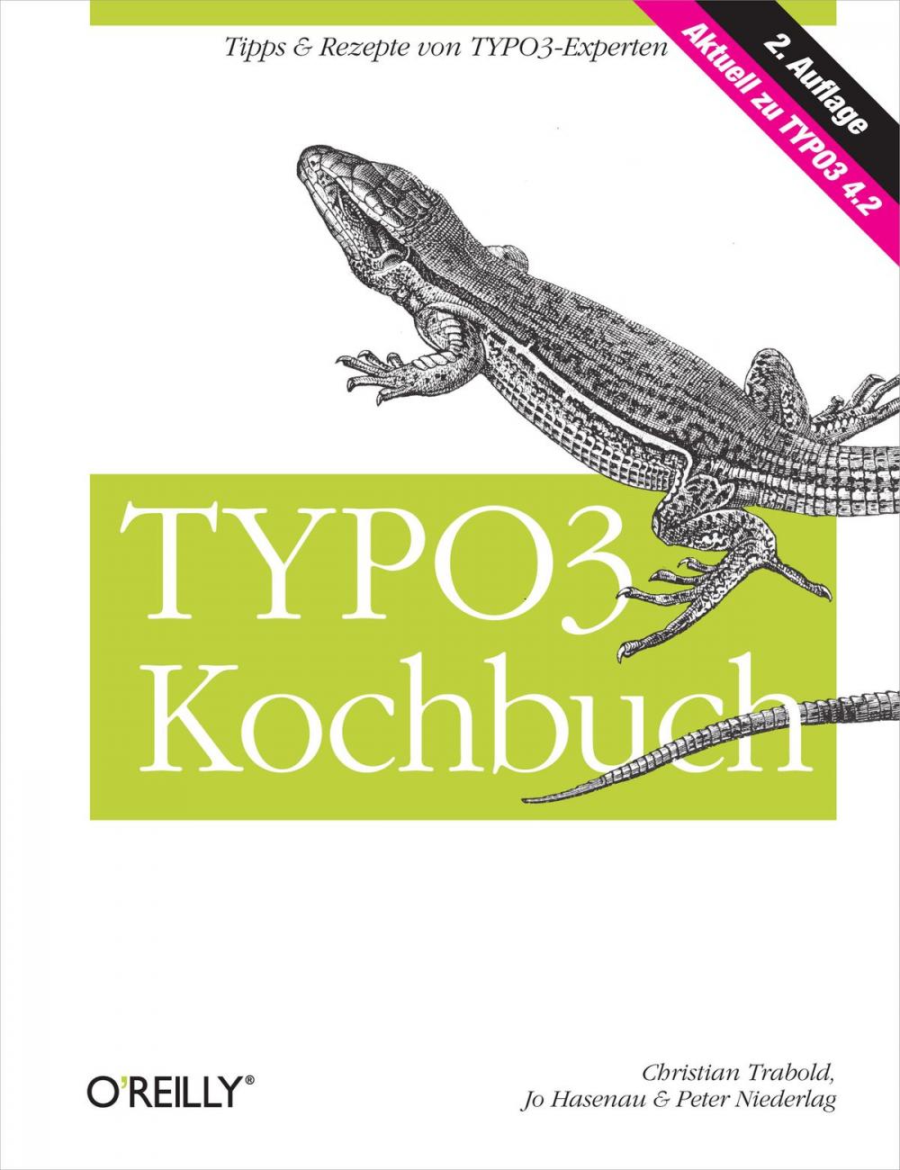 Big bigCover of Typo3 Kochbuch