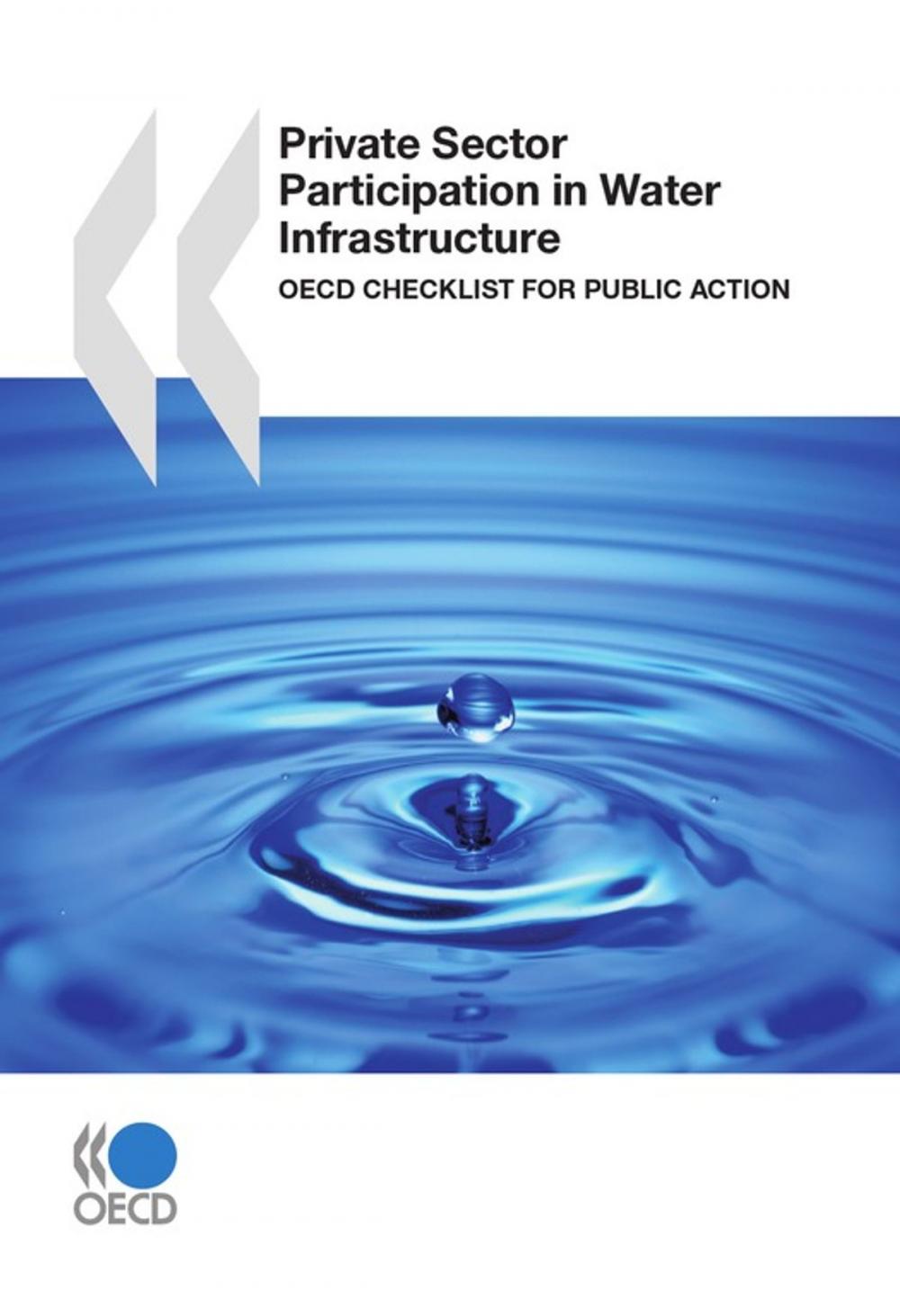 Big bigCover of Private Sector Participation in Water Infrastructure
