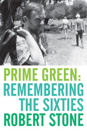 Cover of the book Prime Green: Remembering the Sixties by Al Ries, Laura Ries