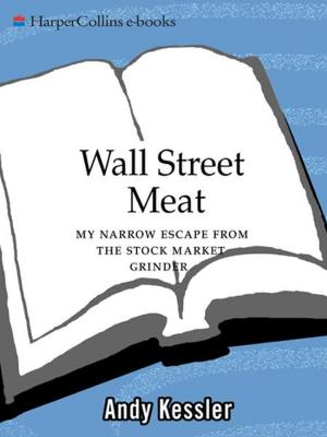 Cover of the book Wall Street Meat by Daniel Clay