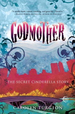 Cover of the book Godmother by Wanitta Praks