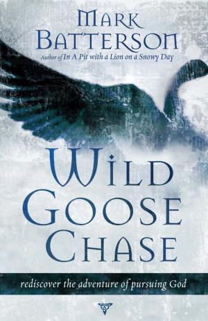 Book cover of Wild Goose Chase