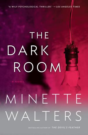 Cover of the book The Dark Room by James Shapiro