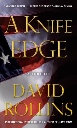 Cover of the book A Knife Edge by Arthur Phillips