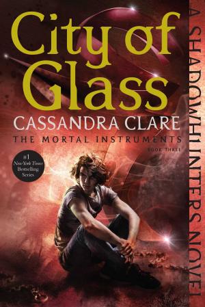 Book cover of City of Glass