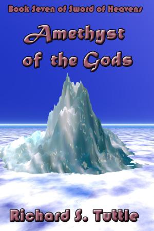 Book cover of Amethyst of the Gods (Sword of Heavens #7)