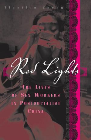 Cover of the book Red Lights by 黃靜宜