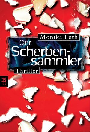 Cover of the book Der Scherbensammler by Sara B. Larson