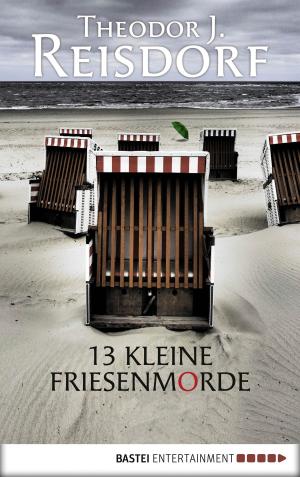 Book cover of 13 kleine Friesenmorde