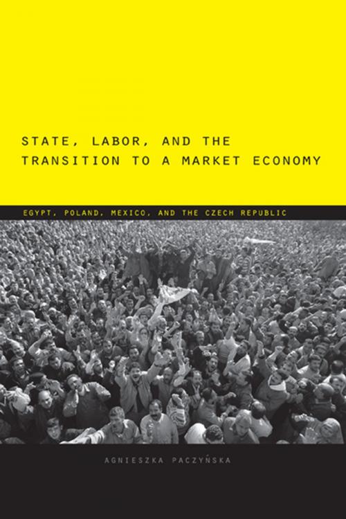 Cover of the book State, Labor, and the Transition to a Market Economy by Agnieszka Paczyńska, Penn State University Press