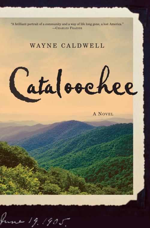 Cover of the book Cataloochee by Wayne Caldwell, Random House Publishing Group