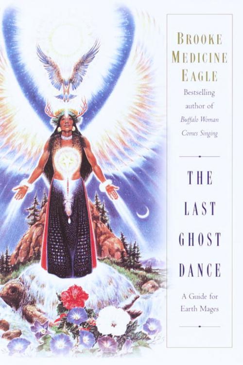 Cover of the book The Last Ghost Dance by Brooke Medicine Eagle, Random House Publishing Group