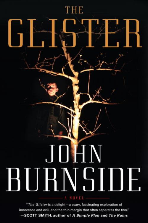 Cover of the book The Glister by John Burnside, Knopf Doubleday Publishing Group