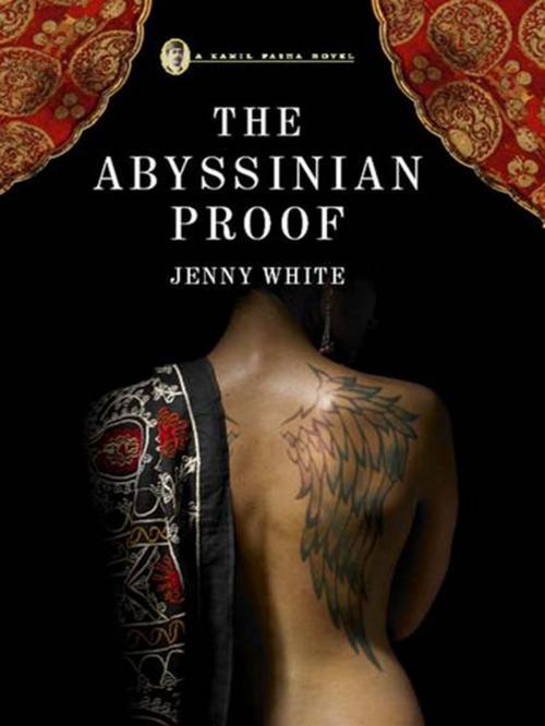 Cover of the book The Abyssinian Proof: A Kamil Pasha Novel (Kamil Pasha Novels) by Jenny White, W. W. Norton & Company