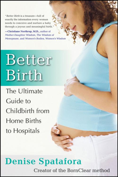 Cover of the book Better Birth by Denise Spatafora, Turner Publishing Company