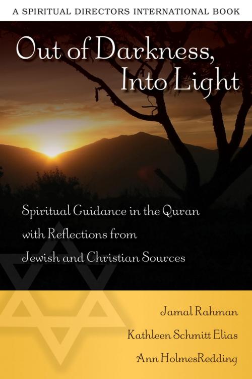 Cover of the book Out of Darkness Into Light by Ann Holmes Redding, Church Publishing Inc.