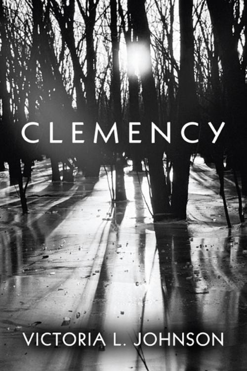 Cover of the book Clemency by Victoria L. Johnson, America Star Books