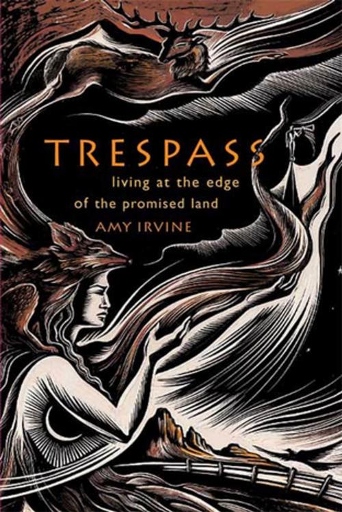 Cover of the book Trespass by Amy Irvine, Farrar, Straus and Giroux