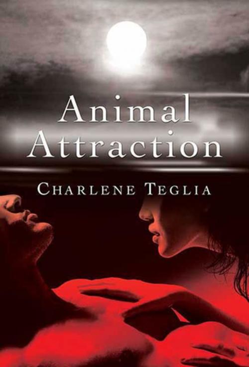 Cover of the book Animal Attraction by Charlene Teglia, St. Martin's Press