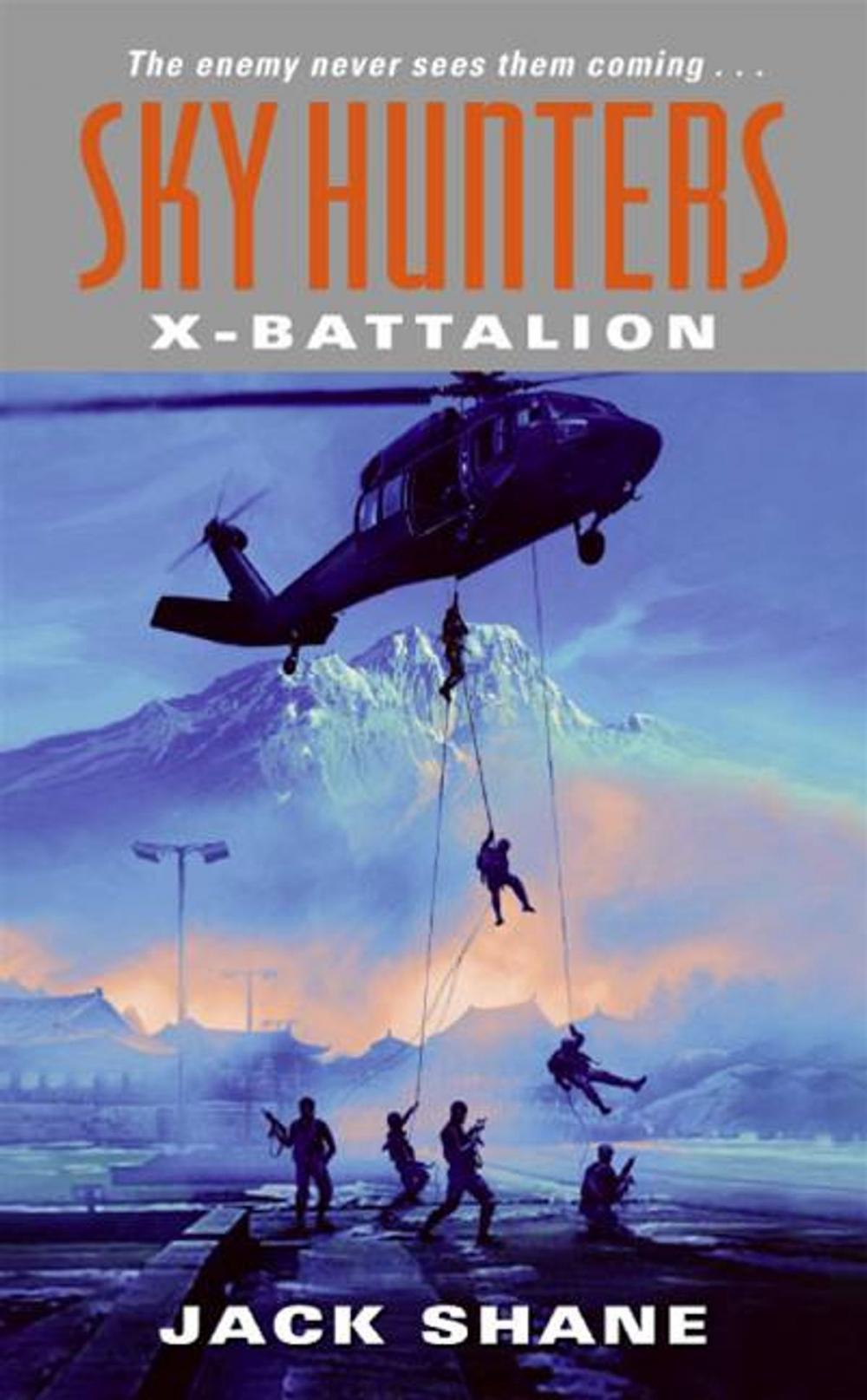 Big bigCover of Sky Hunters: X-Battalion