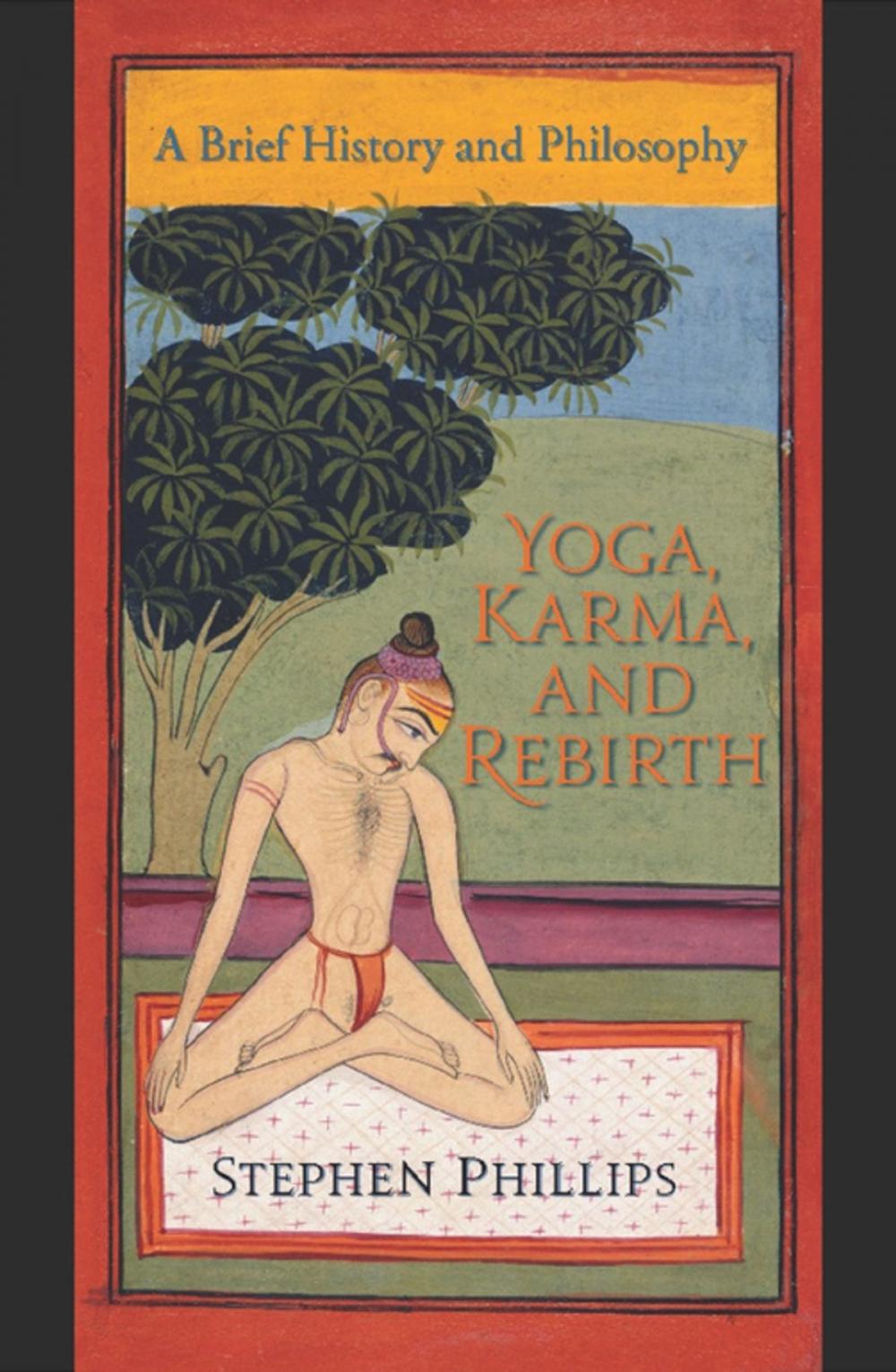 Big bigCover of Yoga, Karma, and Rebirth