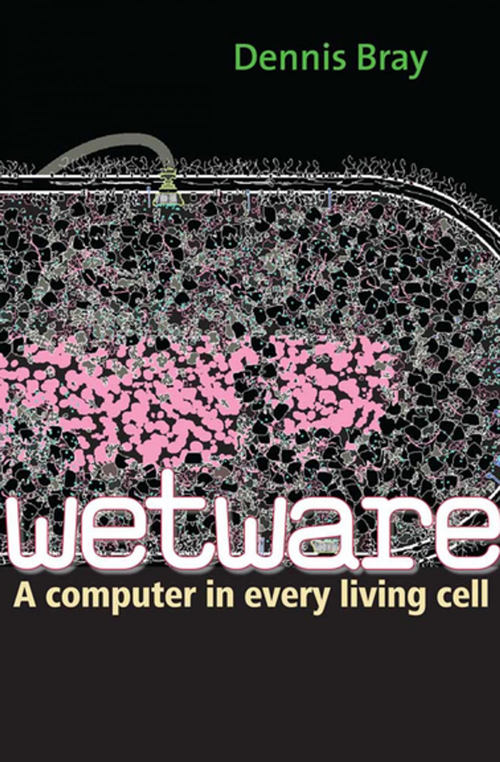 Big bigCover of Wetware