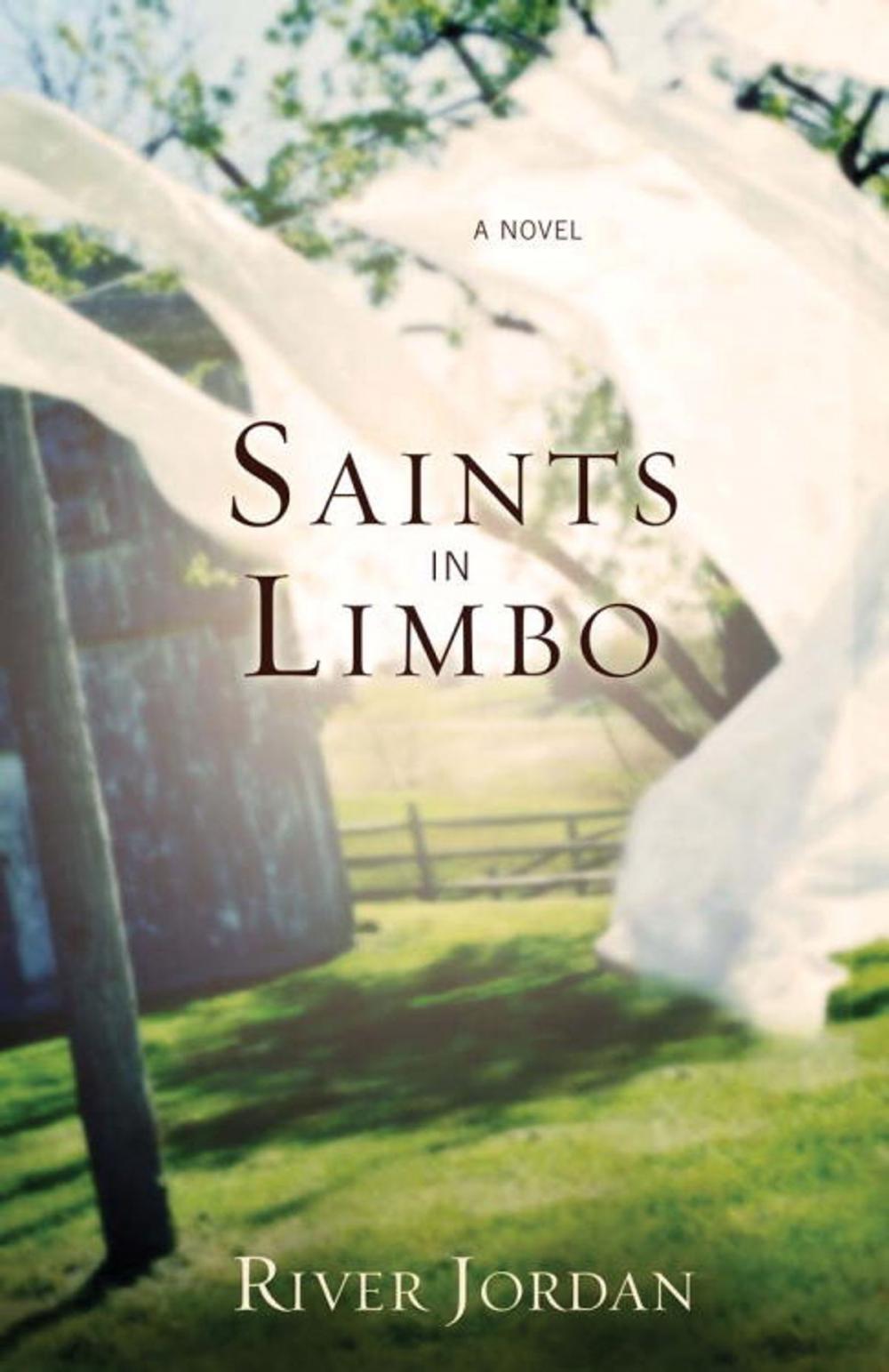 Big bigCover of Saints in Limbo