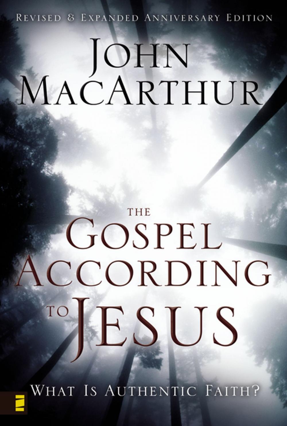 Big bigCover of The Gospel According to Jesus