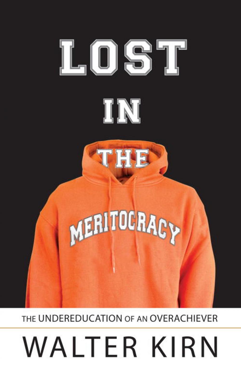 Big bigCover of Lost in the Meritocracy