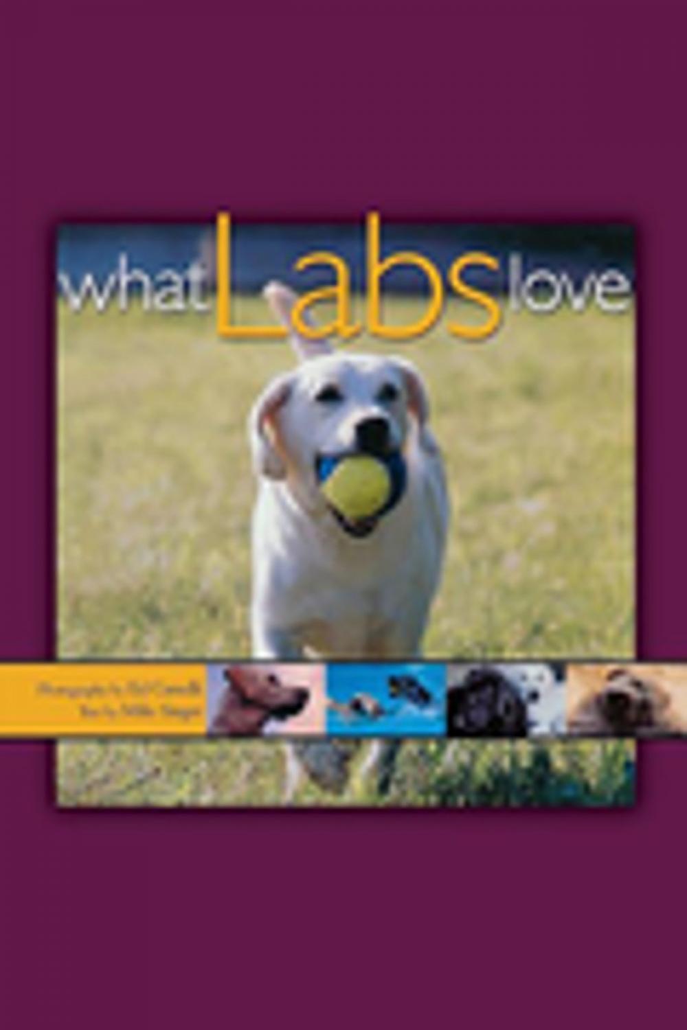 Big bigCover of What Labs Love