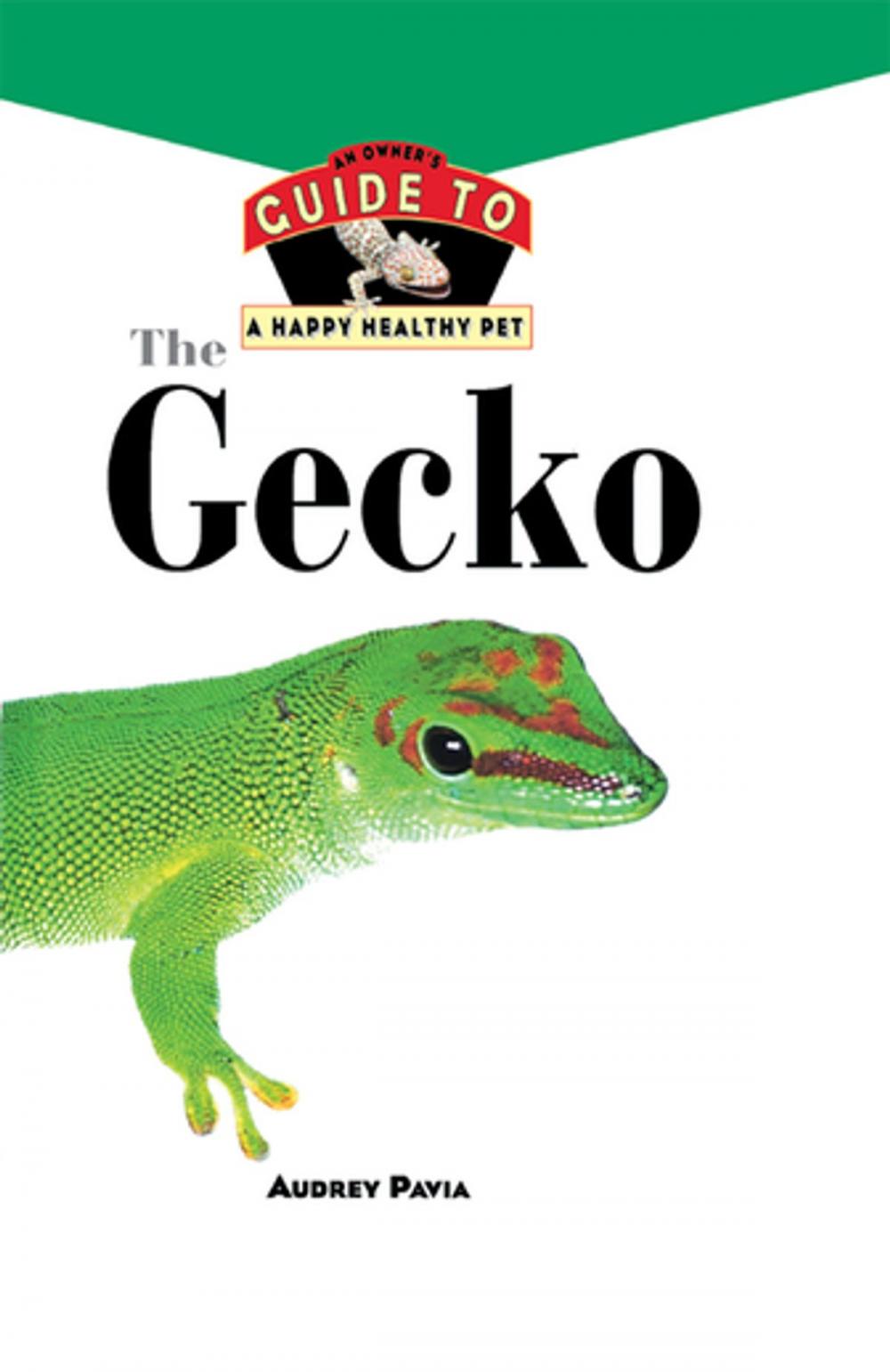 Big bigCover of The Gecko