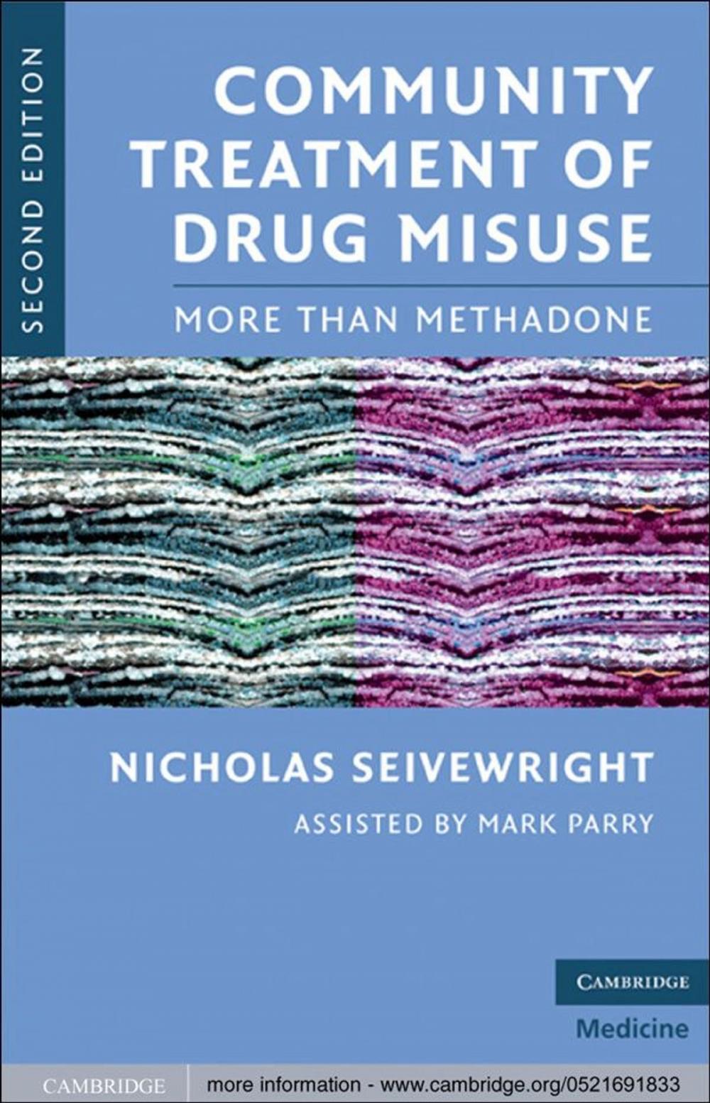 Big bigCover of Community Treatment of Drug Misuse