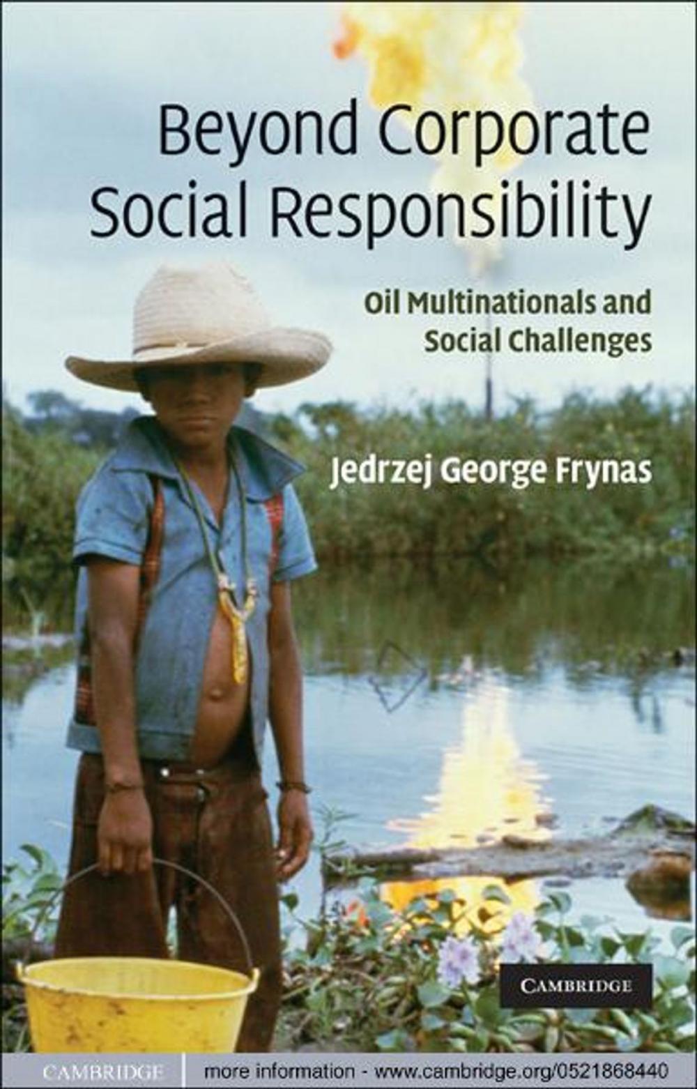 Big bigCover of Beyond Corporate Social Responsibility