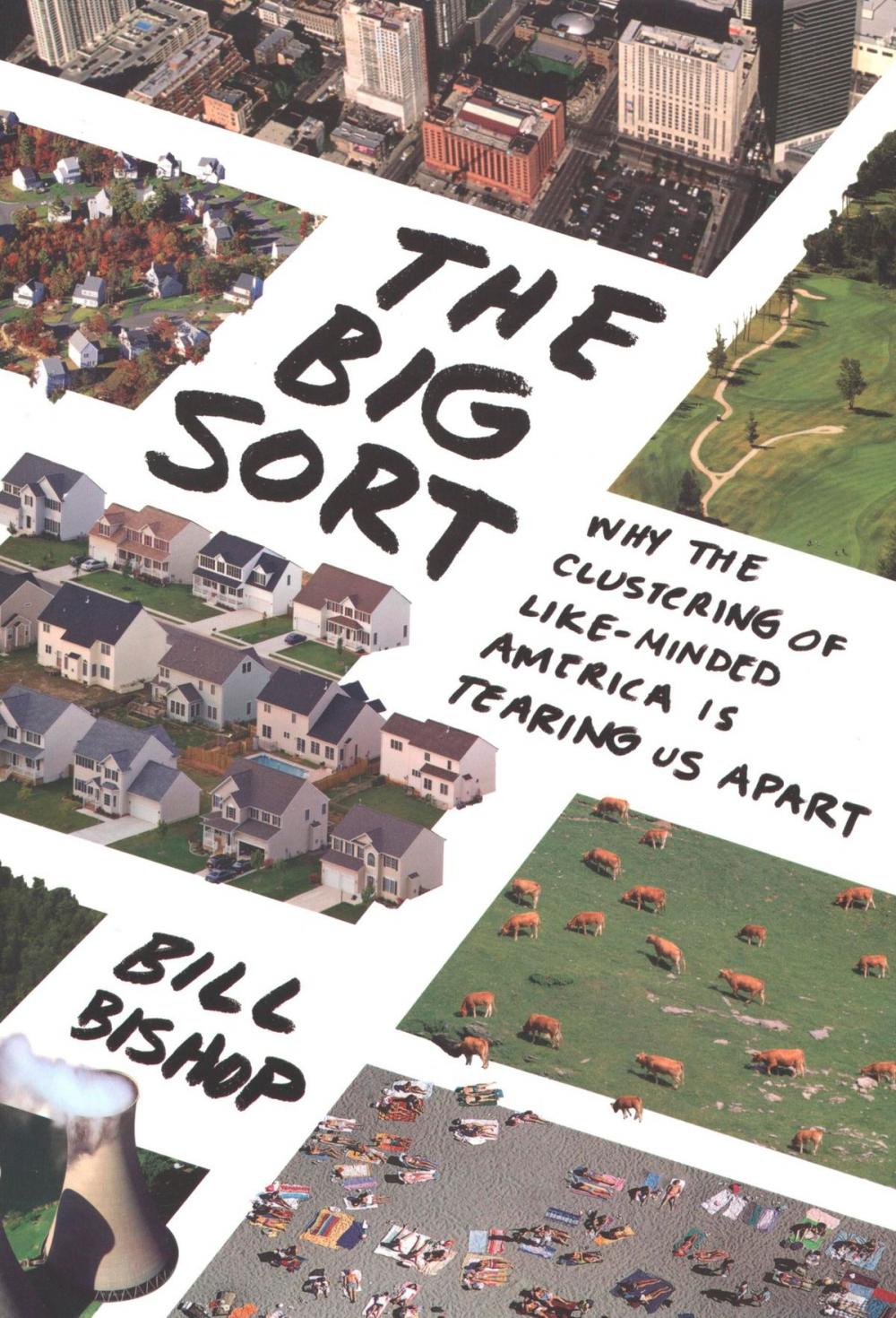 Big bigCover of The Big Sort