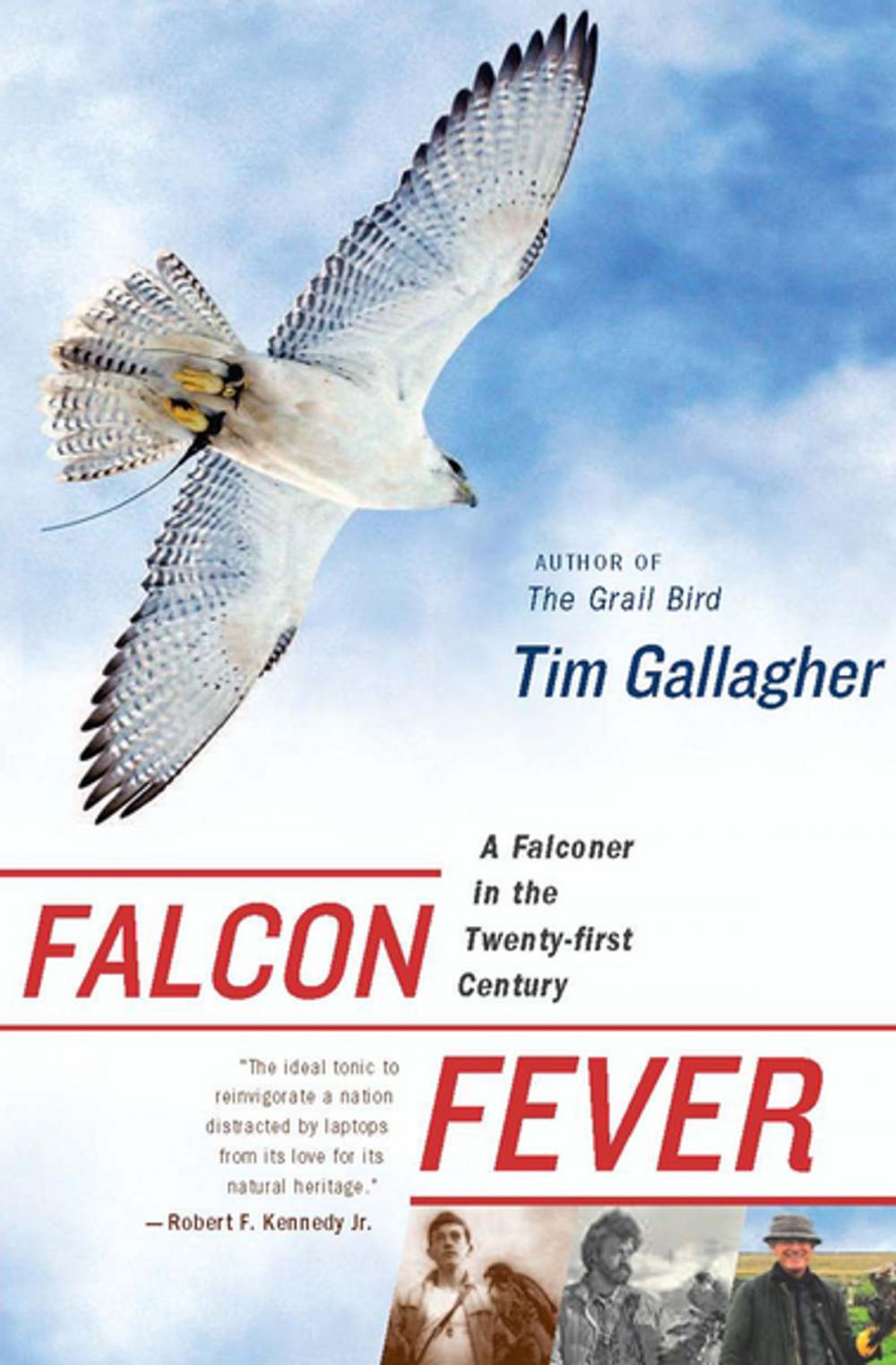 Big bigCover of Falcon Fever