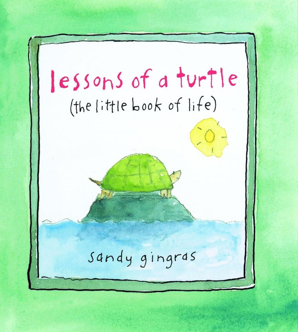 Big bigCover of Lessons of a Turtle