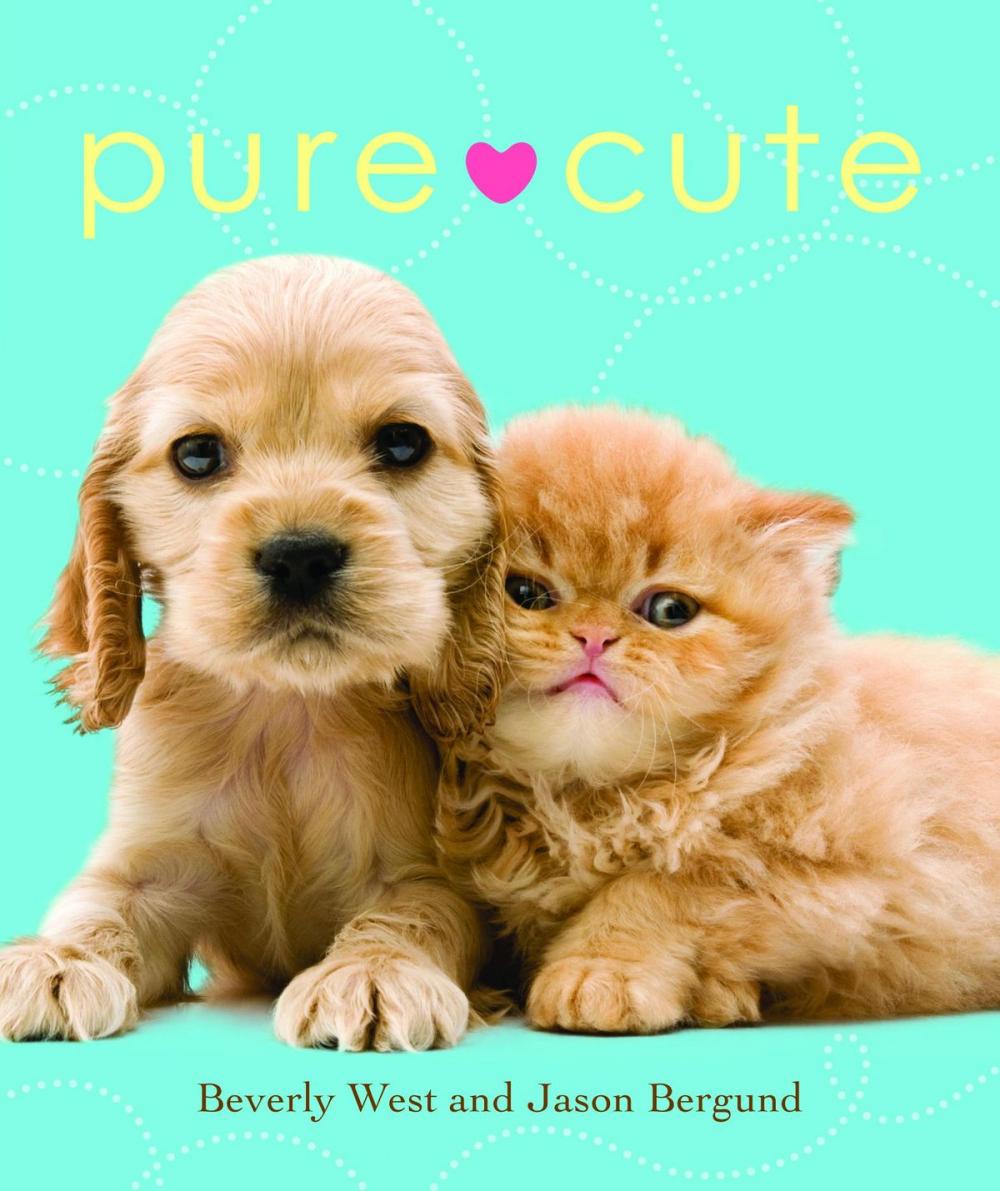 Big bigCover of Pure Cute