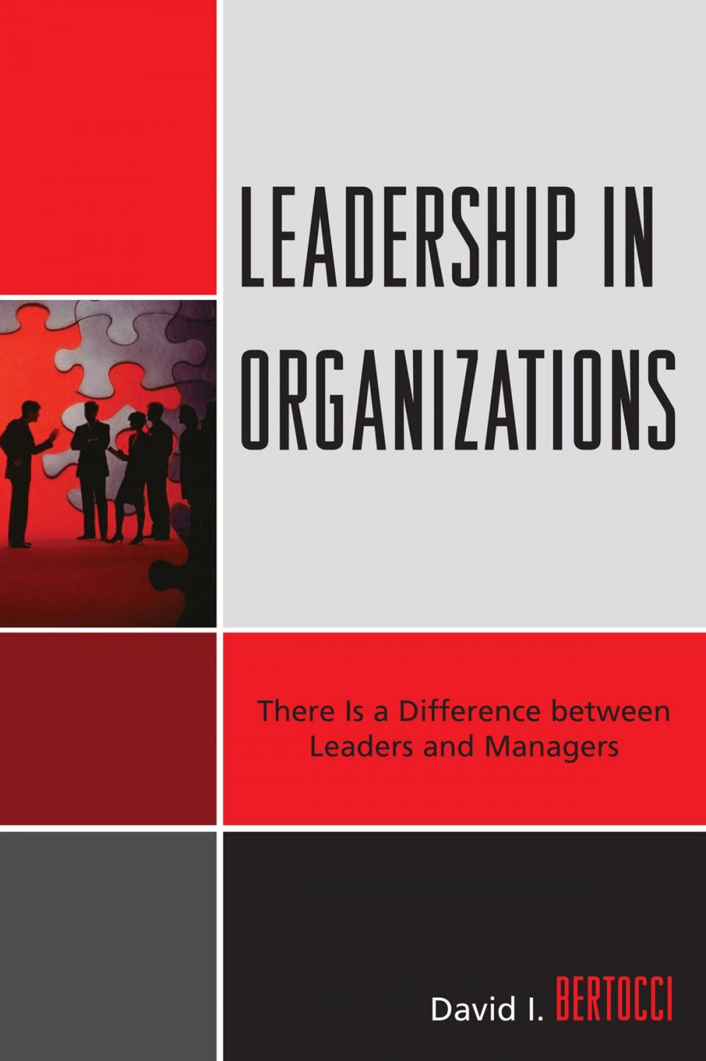 Big bigCover of Leadership in Organizations