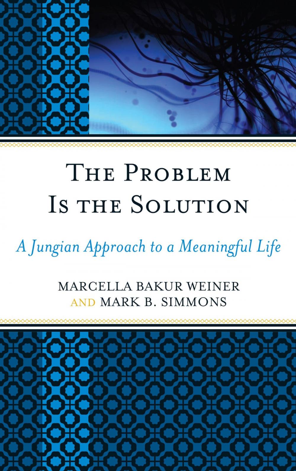 Big bigCover of The Problem Is the Solution