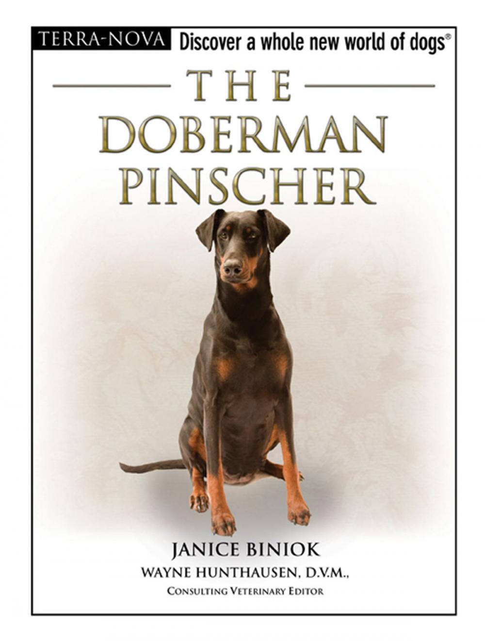 Big bigCover of The Doberman Pinscher