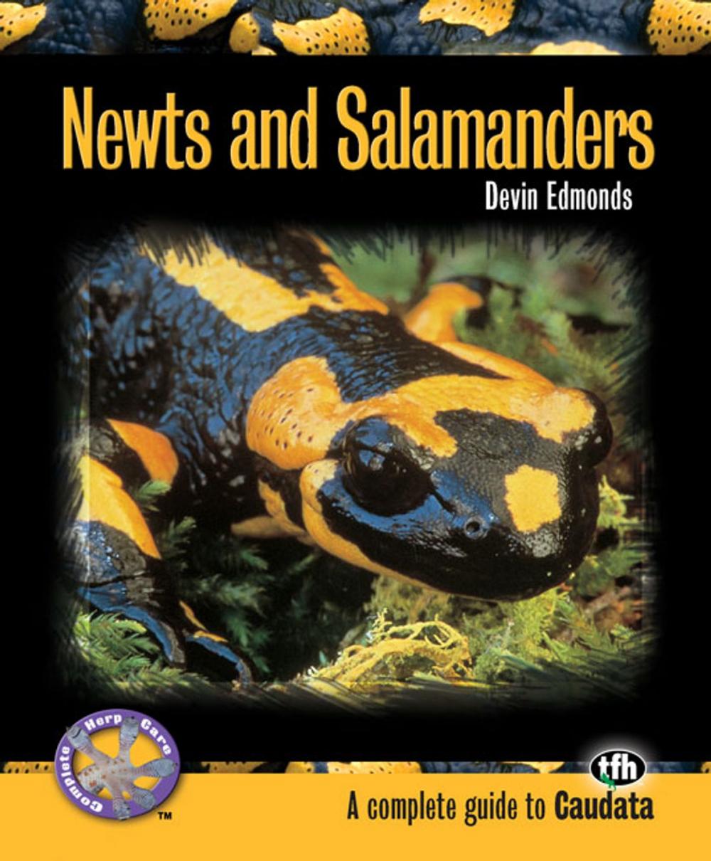 Big bigCover of Newts and Salamanders (Complete Herp Care)