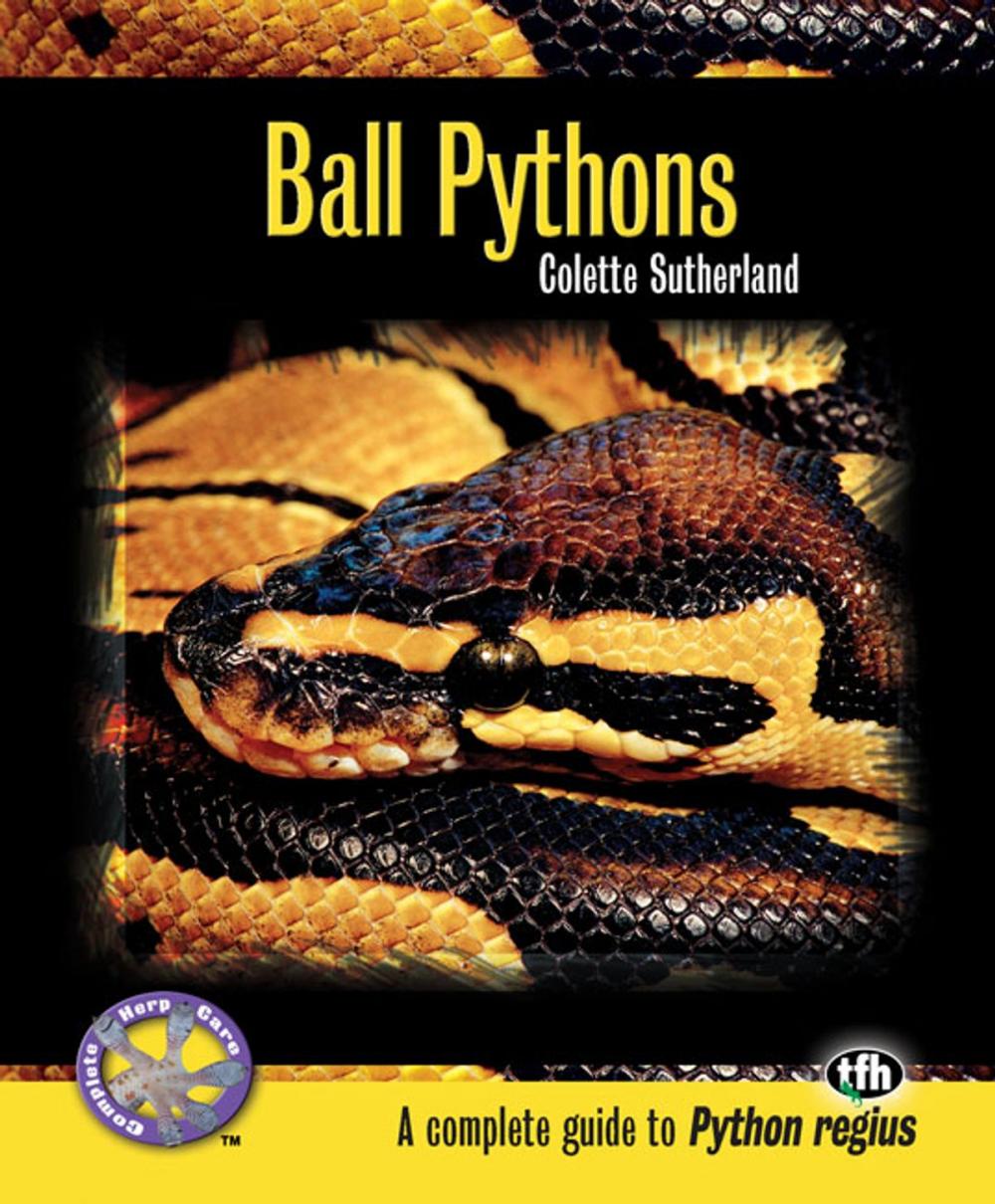 Big bigCover of Ball Pythons